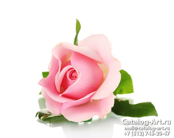 Натяжные потолки с фотопечатью - Розовые розы 49